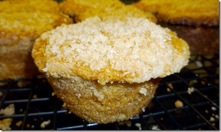 Buttermilk Crumb Muffins 15_exposure