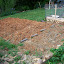 DawnontheFarm's Front Row  garden