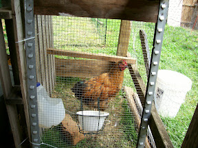 Crate