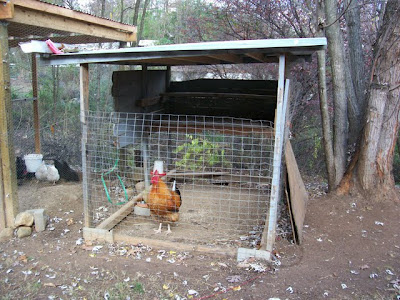 Small Coop