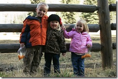 IMG_4454 copy