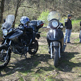 DSC01062.jpg