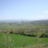 DSC01045.jpg