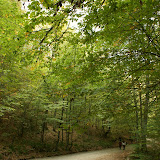 DSC01985.JPG