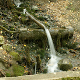 DSC01974.JPG