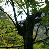 DSC02041.JPG