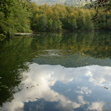 DSC02092.JPG