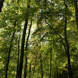 DSC02226.JPG