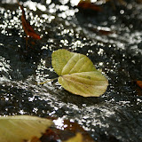 DSC02421.JPG