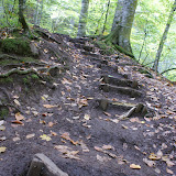 DSC02349.JPG