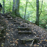 DSC02350.JPG