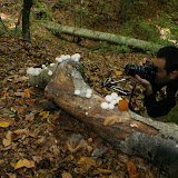 Fotoğraf aşkı 3