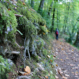 DSC02525.JPG