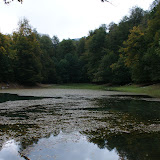 DSC02642.JPG