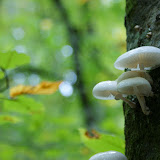 DSC02766.JPG