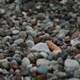 Akdeniz_016.jpg
