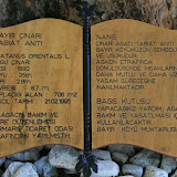 Akdeniz_072.jpg