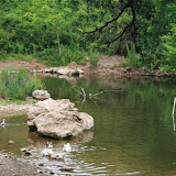 ballikayalar2008_027.jpg