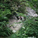 ballikayalar2008_292.jpg