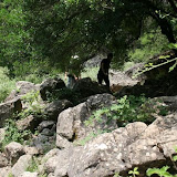 ballikayalar2008_304.jpg
