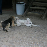 ballikayalar2008_411.jpg