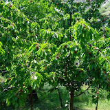 bilecik_055.jpg