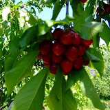 bilecik_059.jpg