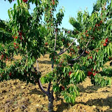 bilecik_070.jpg
