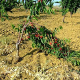 bilecik_069.jpg