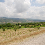 DSC_0115.JPG