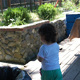 DSC_3518.JPG
