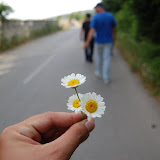 DSC_3596.JPG