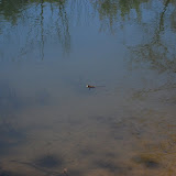 DSC_2552.JPG
