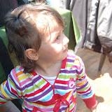 DSC_2614.JPG