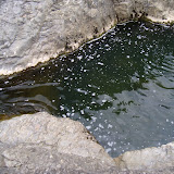 DSC01029.JPG