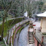 DSC00822.JPG