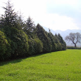 DSC00853.JPG