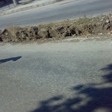 020720081535zw4.jpg
