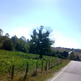 020720081525eu1.jpg