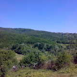 020720081494yu7.jpg