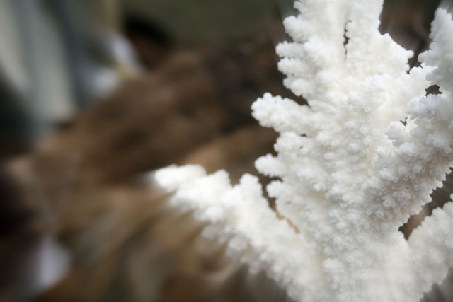 [Urban Market 203a[2].jpg]