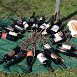 PotaturaEnantio2010-5.jpg