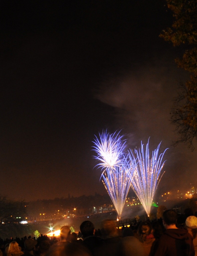 [DSC_3255[18].jpg]