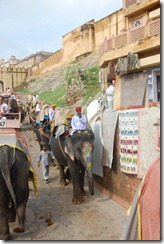 India 2010 -   Jaipur - Fuerte  Amber , 15 de septiembre   38