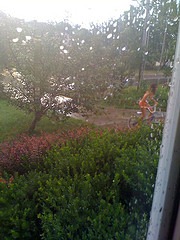 [Autumn in the rain[2].jpg]