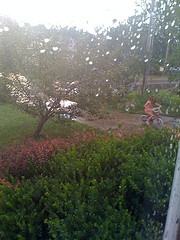 [Emily in the rain[2].jpg]