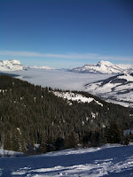 photo.jpg Photo