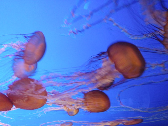 [P9110015[2].jpg]