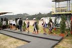 2010-01-30 15-07-50.JPG