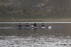 IMG_3825.JPG
